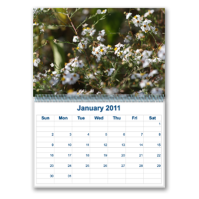 Calendars - Customizable, Wall Calendars - Customizable, Wall